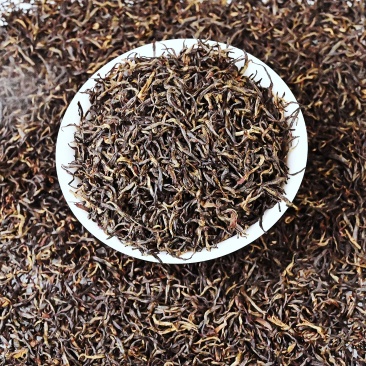 24新春茶一芽两叶一芽一叶芽头产地直发假一赔十