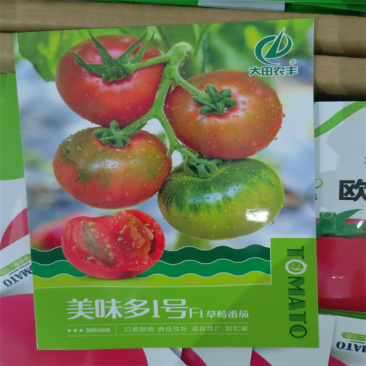美味多1号草莓番茄种子真甜东北铁皮柿子种子早熟西红柿种子