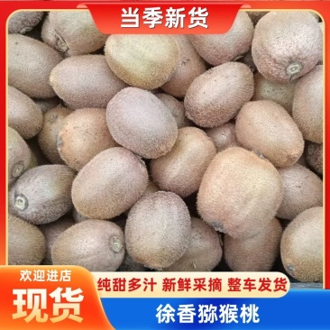 徐香翠香猕猴桃，产地直供量大从优全国发货