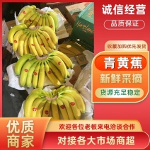 精品香蕉生蕉二黄蕉口感软糯香甜无花皮无硬心无黑心发全国