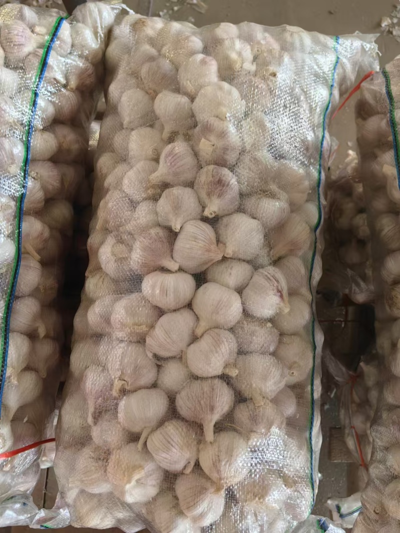 山东济宁金乡大蒜热卖中基地直发保质保量价格实惠欢迎咨询