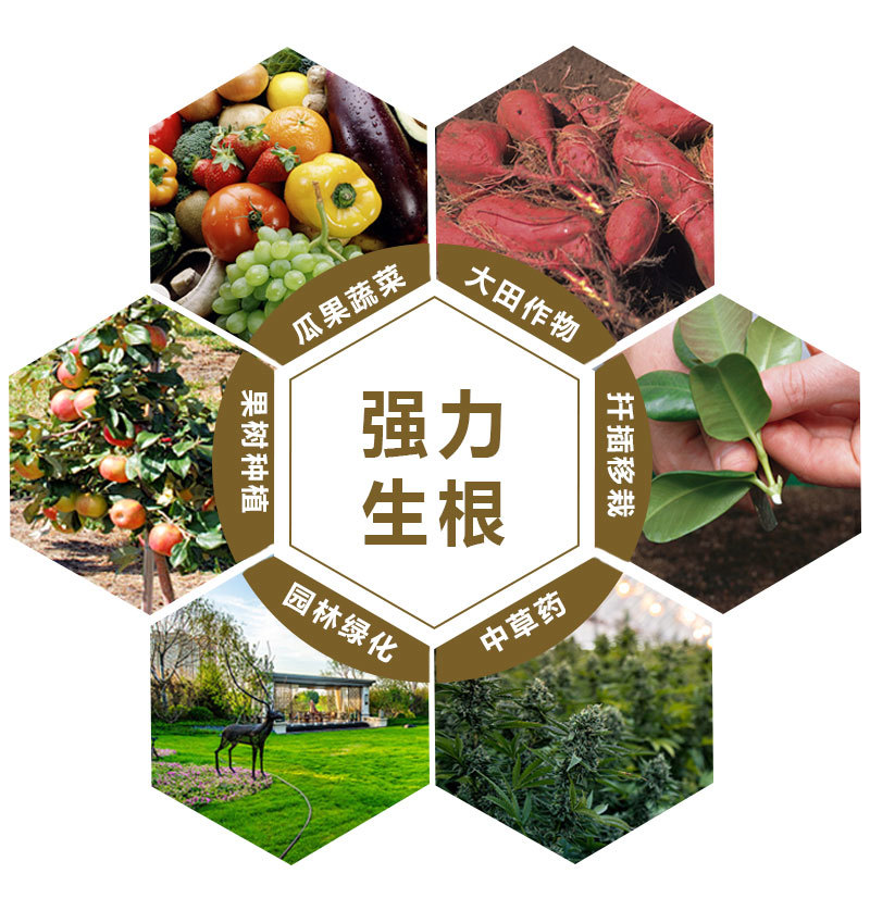 捷沅猛生根原液强力生根剂移栽扦插壮苗剂果树花卉蔬菜专用生