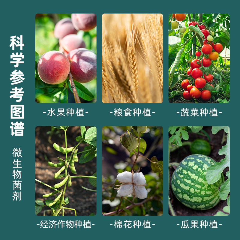 捷沅菌立清新型微生物菌剂根腐灰霉白粉叶斑疫菌清作物病害防