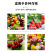 捷沅花果多授粉坐果精坐果灵防落素瓜果蔬菜果树保花保果叶