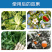 捷沅植物防冻剂蔬菜作物抗寒果树花卉抗冻抗逆抗旱降低冰点防