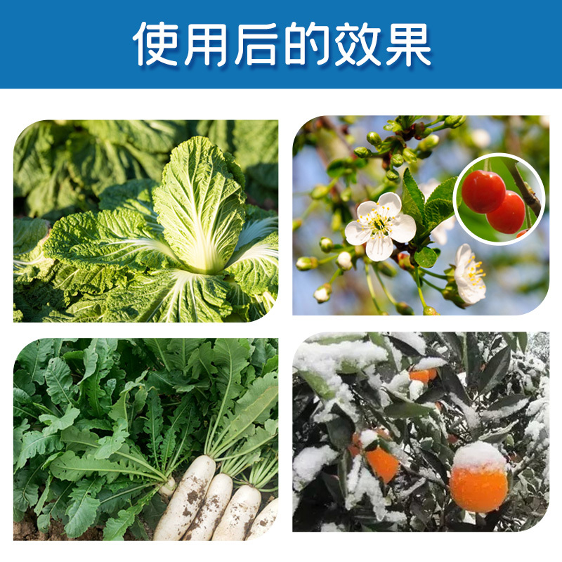 捷沅植物防冻剂蔬菜作物抗寒果树花卉抗冻抗逆抗旱降低冰点防