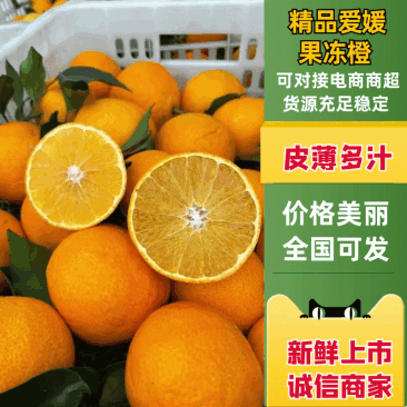 四川爱媛38果冻橙，承接社区团购，电商平台，商超，档口批发