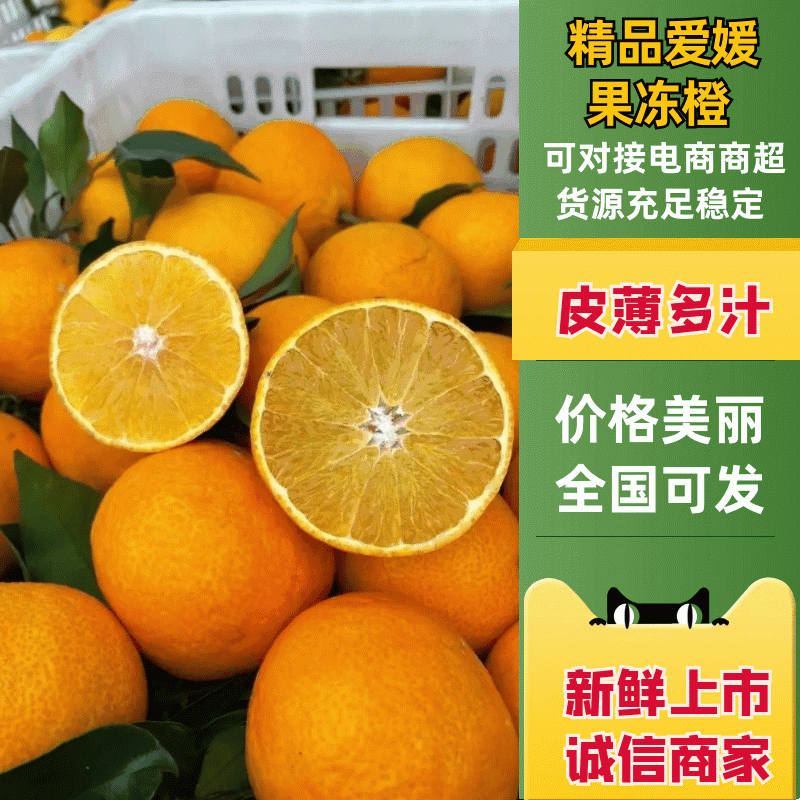 四川爱媛38果冻橙，承接社区团购，电商平台，商超，档口批发
