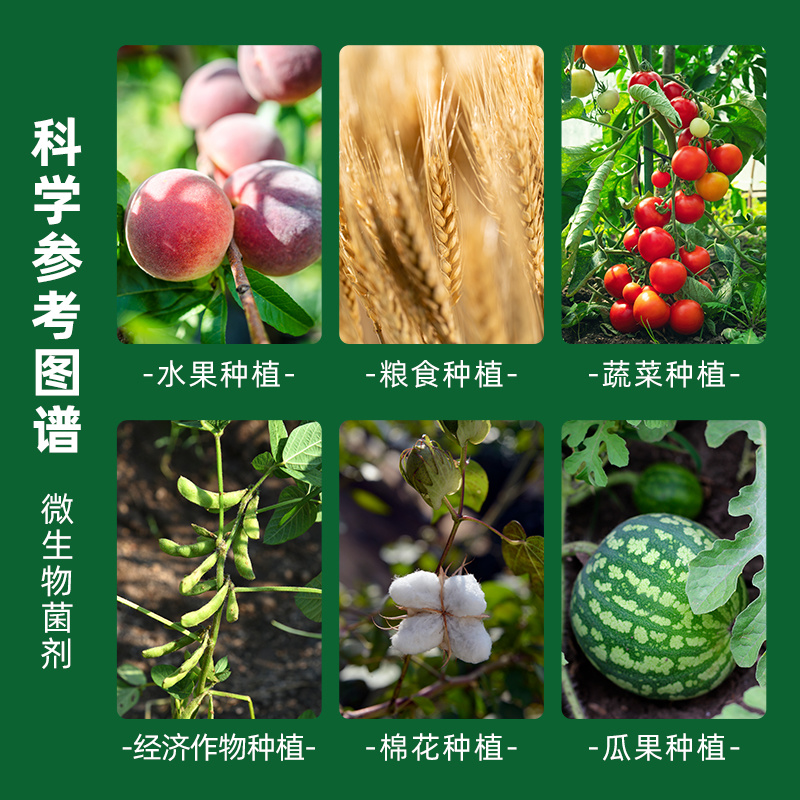 捷沅菌立清粉剂新型微生物菌剂霜霉灰霉白粉叶斑炭疽作物病害