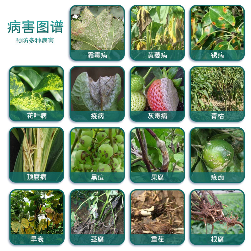 捷沅撒施型病菌清颗粒瓜果蔬菜作物防病害抗重茬捷沅清微生物