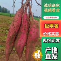 陕西红薯板栗红薯红心红薯量大从优保质保量甘甜可