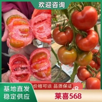 大果口感番茄种子莱喜568甜沙口饱满多汁风味足