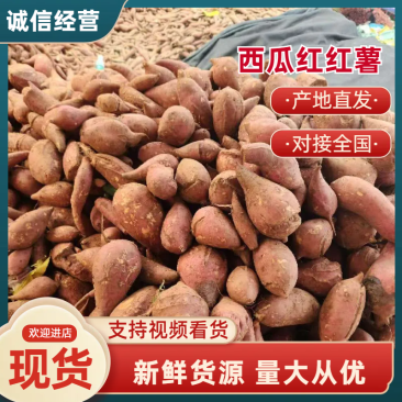 【实力精选】河南红薯-西瓜红红薯工厂货-可加工薯条红薯泥