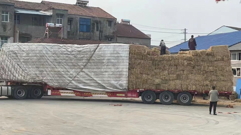 【优选】揉丝稻草--工厂直销-价格优惠-可对接基地