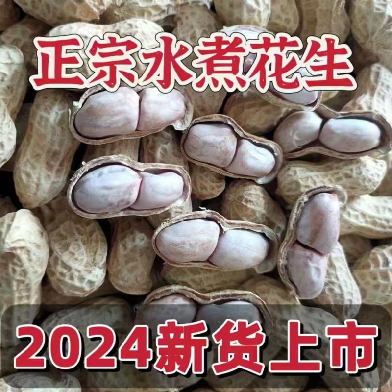 水煮晒干花生熟花生咸干花生厂家卖货一手货源颗颗饱满全国接
