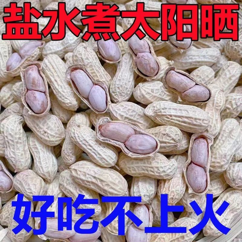 水煮晒干花生熟花生咸干花生厂家卖货一手货源颗颗饱满全国接