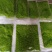 韭菜花酱规格齐全厂家直发可按需包装量大从优