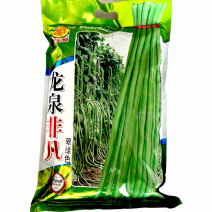 长豆角种子龙泉非凡翠绿豆角种籽叶片小叶豇豆顺直美观基地
