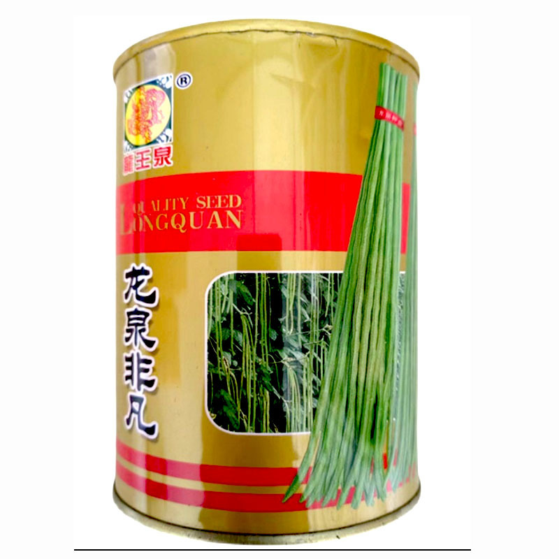 长豆角种子龙泉非凡翠绿豆角种籽叶片小叶豇豆顺直美观基地