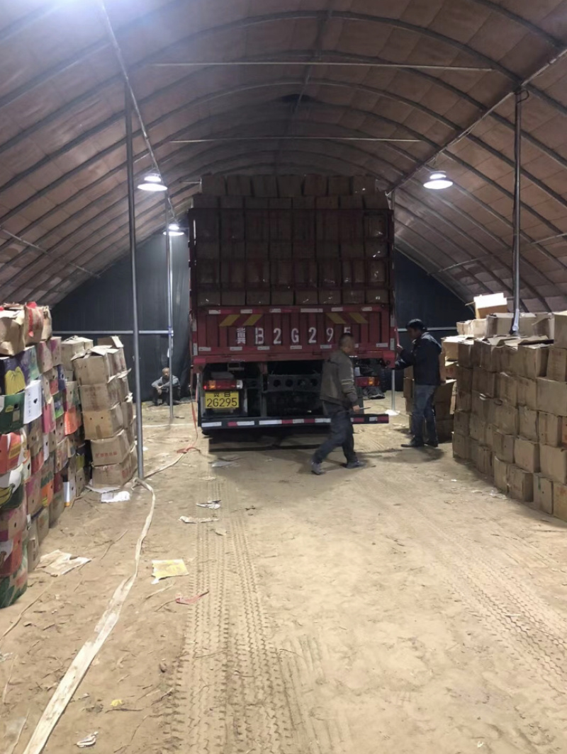 河北红薯烟薯香甜软糯规格齐全基地直发支持视频看货