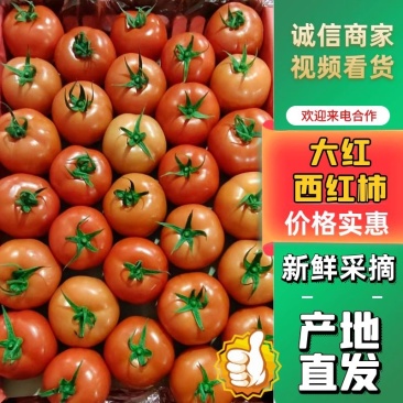 湖北宜昌西红柿，基地直发，大红，量大可优惠，欢迎致电