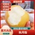 山东秋月梨大量上市，基地采摘，甜度高，品相好