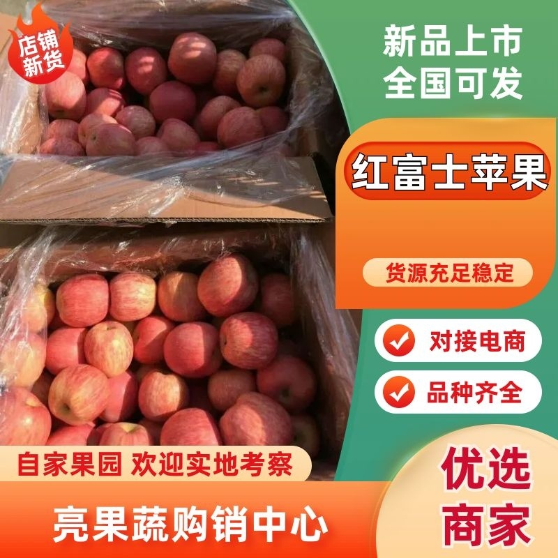 【**推荐】山东水晶红富士苹果脆甜冰糖心皮薄多汁产地直发