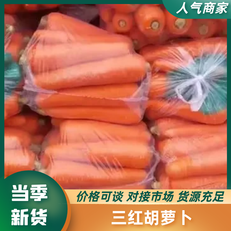 【精品】三红胡萝卜，产地直销，质量保证，诚信至上