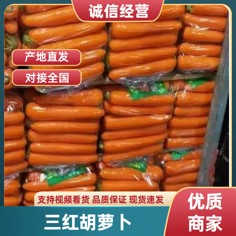 【精品】三红胡萝卜，产地直销，质量保证，诚信至上