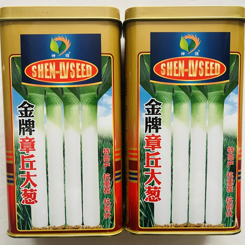 大葱种子章丘大葱种子