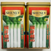 铁杆大葱种子，大葱种子
