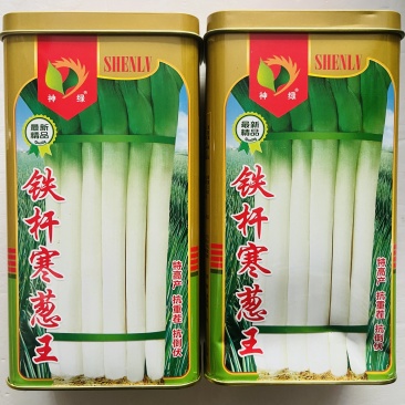 铁杆大葱种子，大葱种子，铁杆大葱种子