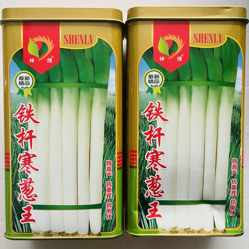 铁杆大葱种子，大葱种子，铁杆大葱种子