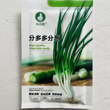 小葱种子，香葱种子，小香葱种子
