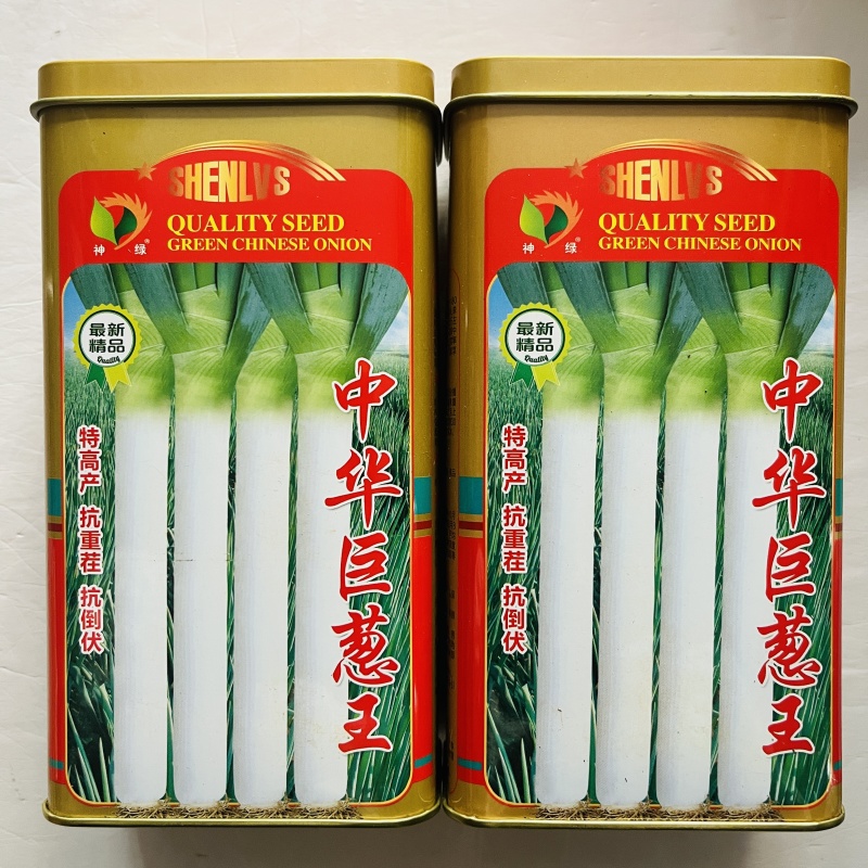 大葱种子，中华巨葱种子，长白大葱种子