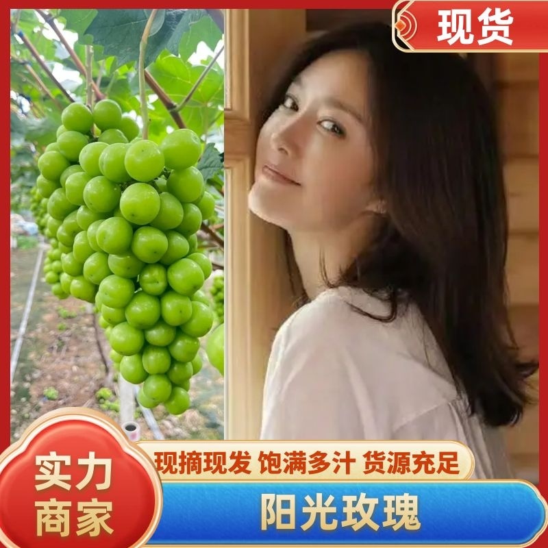 砀山阳光玫瑰精品葡萄颗粒大果肉甜对接商超电商市场