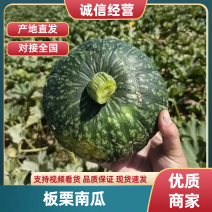 精品板栗南瓜黑南瓜陕西大荔县大量上市欢迎咨询