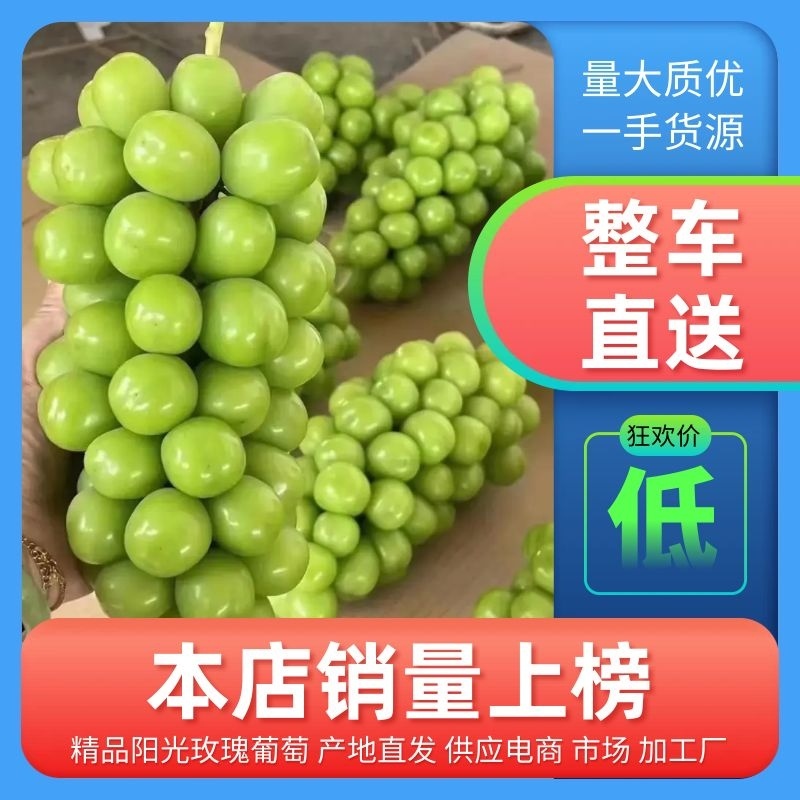 阳光玫瑰葡萄河北葡萄批发全国发货产地直发