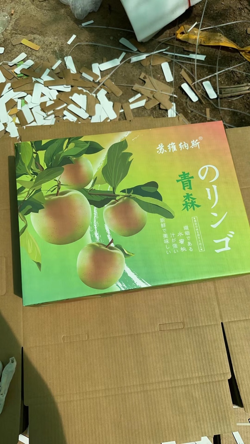 青岛苹果青森苹果上市中品相好口感佳糖度适价格实惠基地直发