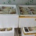 【甄选】广东精品花生芽水培花生芽，品质保障