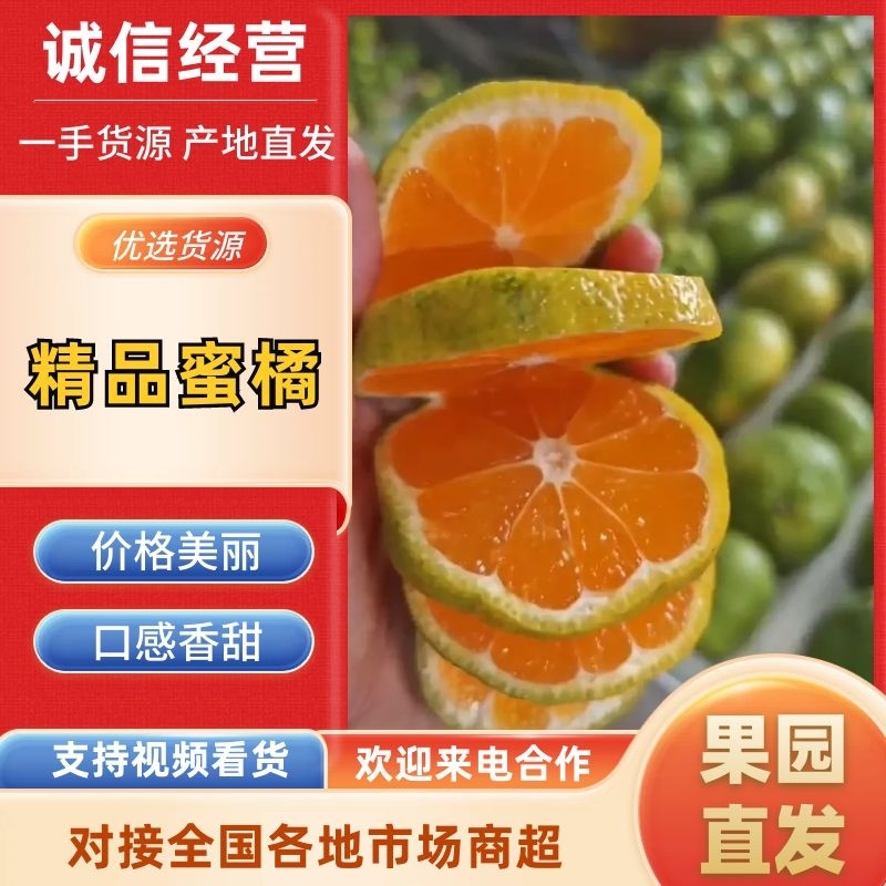 枝江高山蜜橘特早皮薄化渣大量有货有出口资质
