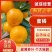 宜昌枝江蜜橘，丑橘，南丰，四季红，有出口资质