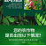 矿源黄腐酸钾矿物质活性钾元素肥调酸抑碱增强抗涝性
