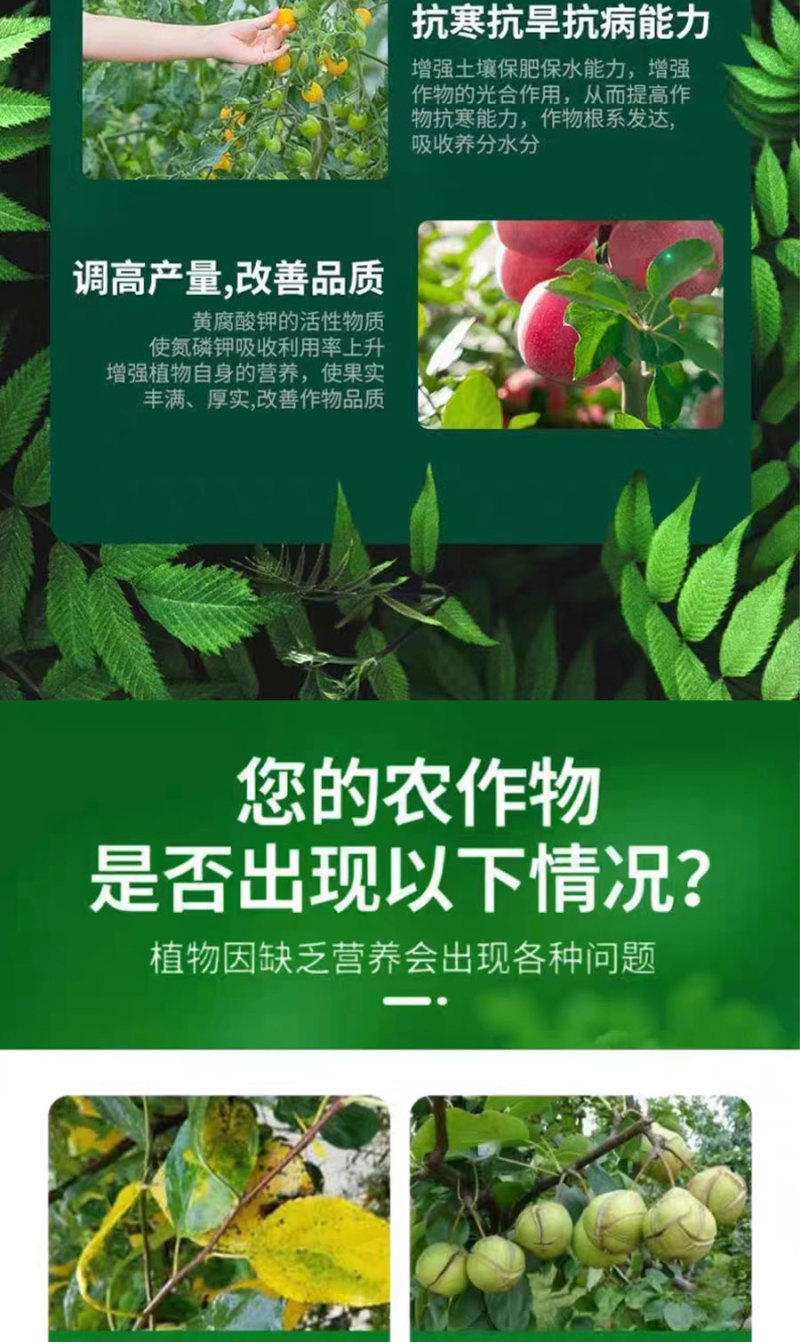 矿源黄腐酸钾矿物质活性钾元素肥调酸抑碱增强抗涝性