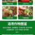 矿源黄腐酸钾矿物质活性钾元素肥调酸抑碱增强抗涝性