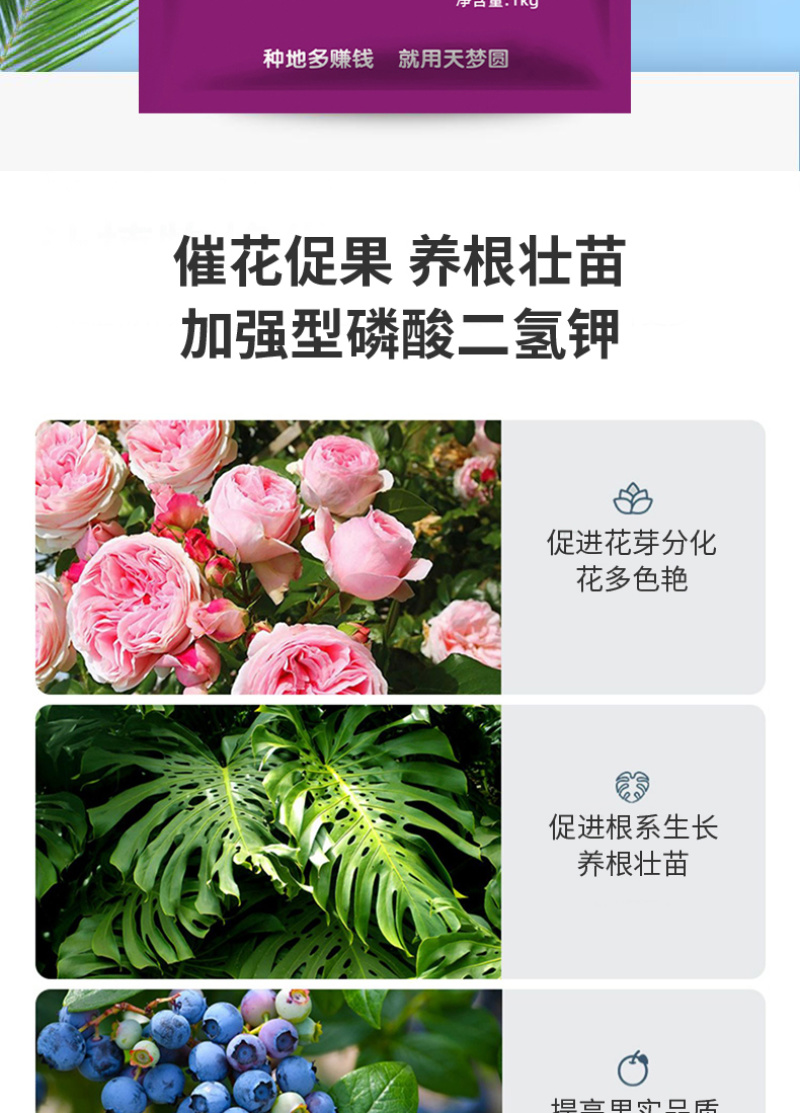 磷酸二氢钾钾肥磷酸二氢磷酸二氢水溶肥天梦圆叶面肥