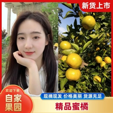 特早蜜橘宜昌早熟蜜橘产地直供现采现发坏果包赔