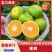 蜜橘柑桔特早蜜橘产地一手货源看园订货质量三包