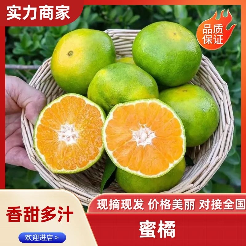 蜜橘柑桔特早蜜橘产地一手货源看园订货质量三包