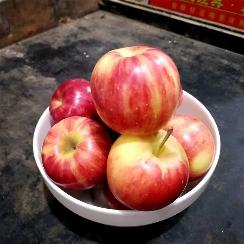 123苹果/东北小苹果/产地直发/量大价优/可视频看货